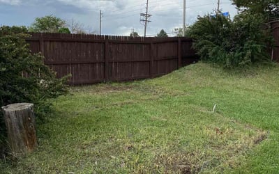 Photo of Kevin L.'s yard after getting landscaping in Georgetown, CO