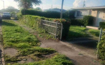 Photo of Tammy A.'s yard after getting landscaping in West Palm Beach, FL