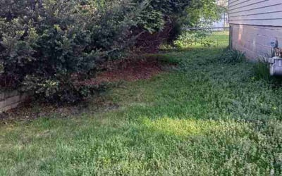 Photo of Dave M.'s yard after getting landscaping in Chanhassen, MN