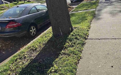 Photo of Melissa H.'s yard after getting landscaping in Saukville, WI