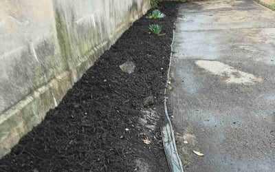Photo of Pat M.'s yard after getting landscaping in Seven Mile, OH