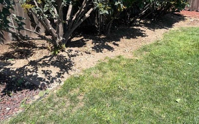 Photo of Carol C.'s yard after getting landscaping in Parma, ID