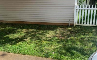 Photo of Niels E.'s yard after getting landscaping in Rockwell, NC