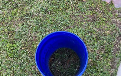 Photo of Scott M.'s yard after getting landscaping in Geneva, FL