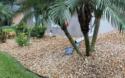 Photo of Vikki P.'s yard after getting tree care in New Smyrna Beach, FL