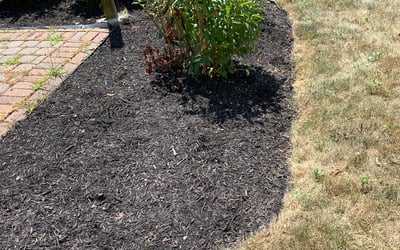 Photo of Lisa J.'s yard after getting landscaping in Ostrander, OH