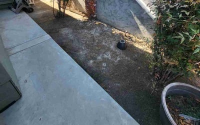 Photo of Jesse B.'s yard after getting landscaping in Sylmar, CA