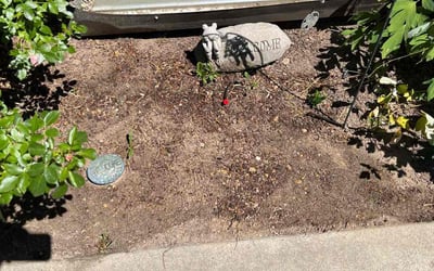 Photo of Chris W.'s yard after getting landscaping in Star, ID