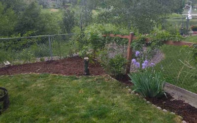 Photo of Nina M.'s yard after getting landscaping in Empire, CO