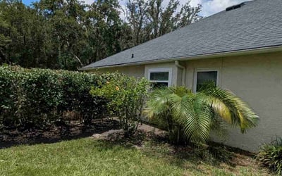 Photo of Melanie S.'s yard after getting landscaping in Tampa, FL