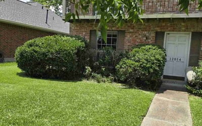 Photo of April M.'s yard after getting tree care in Santa Fe, TX
