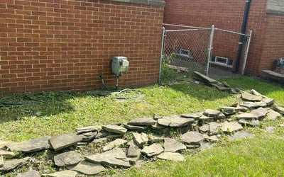 Photo of Ashley R.'s yard after getting landscaping in Warren, MI