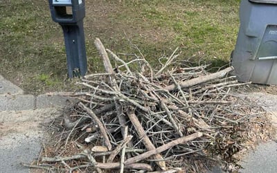 Photo of Linda G.'s yard after getting landscaping in Marshville, NC