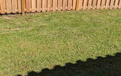 Photo of Samantha F.'s yard after getting landscaping in Edisto Island, SC