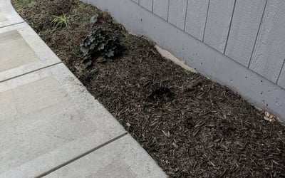 Photo of Adam M.'s yard after getting landscaping in Orrick, MO