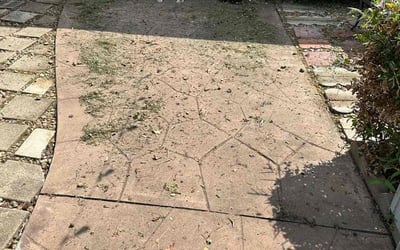Photo of Elizabeth F.'s yard after getting landscaping in North Houston, TX