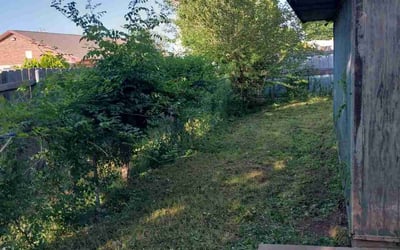 Photo of Brittany H.'s yard after getting landscaping in Piedmont, OK