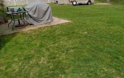 Photo of Michael G.'s yard after getting landscaping in Ballston Spa, NY