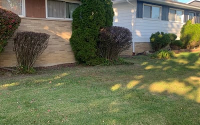 Photo of Roderick V.'s yard after getting landscaping in Sheffield Lake, OH