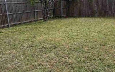 Photo of Jonathan B.'s yard after getting landscaping in Rowlett, TX