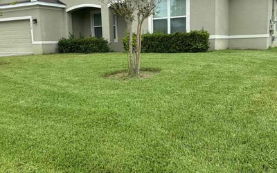 Photo of Ashraf S.'s yard after getting lawn care in Port St. Lucie, FL