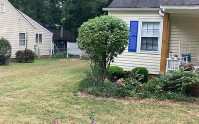 Photo of Kim A.'s yard after getting landscaping in Hillsborough, NC