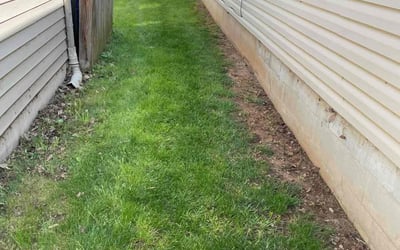 Photo of Douglas W.'s yard after getting landscaping in Lexington, KY