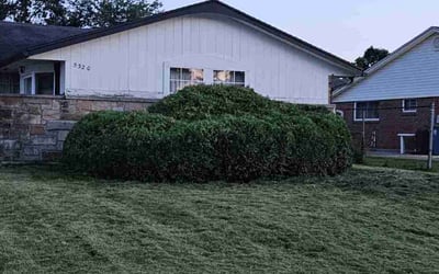 Photo of Brandon B.'s yard after getting landscaping in Dayton, OH