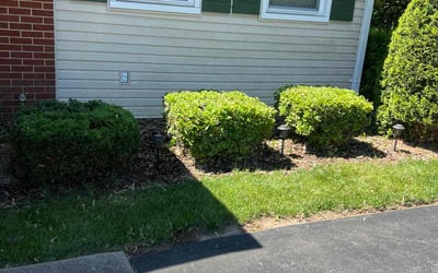 Photo of Jose A.'s yard after getting landscaping in Columbia, MD