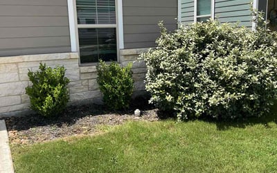 Photo of Nicholas A.'s yard after getting landscaping in San Antonio, TX