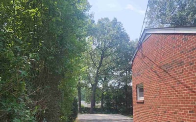 Photo of Tony M.'s yard after getting landscaping in Yale, VA