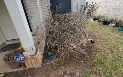 Photo of Tim D.'s yard after getting landscaping in Thrall, TX