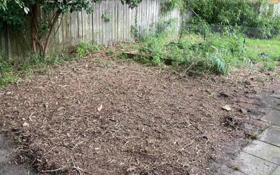 Photo of Kimberly P.'s yard after getting landscaping in Summerville, SC