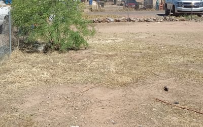 Photo of John W.'s yard after getting landscaping in Wickenburg, AZ
