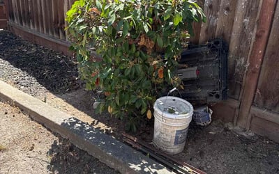 Photo of Sarah G.'s yard after getting landscaping in Pleasanton, CA