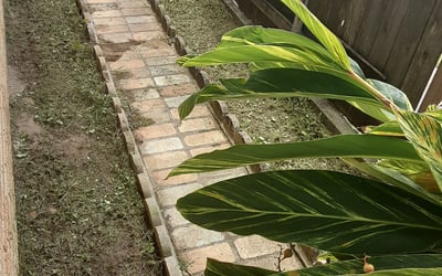 Photo of Robert C.'s yard after getting landscaping in Vacherie, LA