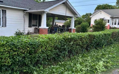 Photo of Lisa R.'s yard after getting landscaping in Maryville, TN