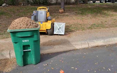 Photo of James G.'s yard after getting landscaping in Pipe Creek, TX