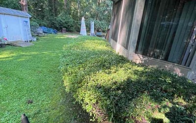 Photo of Mary M.'s yard after getting tree care in Ruther Glen, VA
