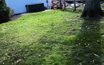 Photo of Cindy B.'s yard after getting landscaping in De Mossville, KY