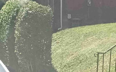 Photo of Dominic S.'s yard after getting landscaping in Cranberry Twp, PA