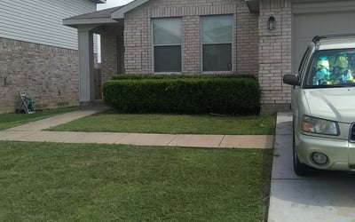 Photo of Steve C.'s yard after getting tree care in Azle, TX