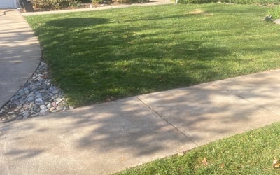 Photo of Andrea S.'s yard after getting landscaping in Spotsylvania, VA