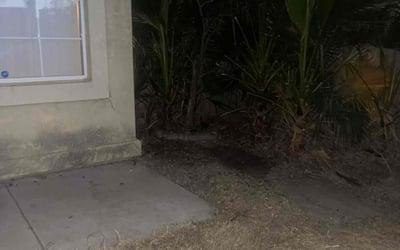 Photo of Tamara J.'s yard after getting landscaping in Hemet, CA