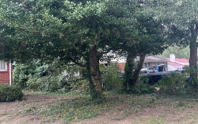 Photo of Mary C.'s yard after getting landscaping in Middleburg, VA