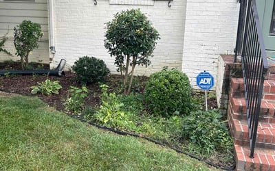 Photo of Allison D.'s yard after getting landscaping in Richmond, VA
