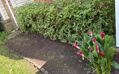 Photo of Stephen N.'s yard after getting landscaping in Virginia Beach, VA