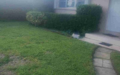 Photo of Tammy A.'s yard after getting landscaping in Palm Beach Gardens, FL