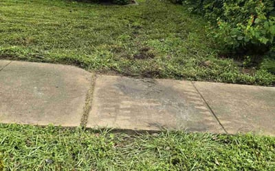 Photo of Jay Z.'s yard after getting tree care in Houston, TX