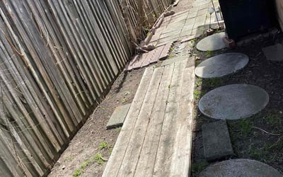 Photo of Janice C.'s yard after getting landscaping in Forreston, TX